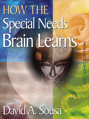 cover image of How the Special Needs Brain Learns